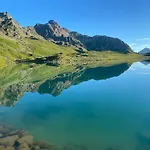 Shima-davos Davos