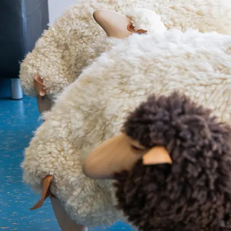 Oda ve Kahvaltı Shima-davos 3*