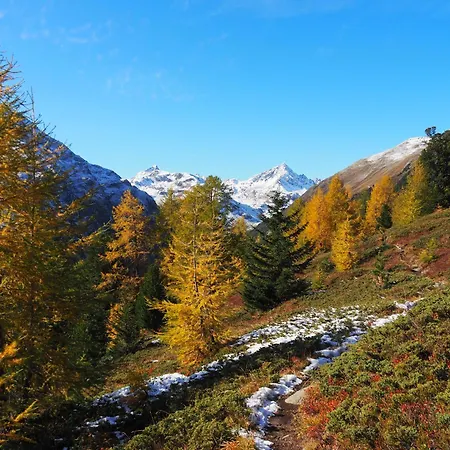 Shima-davos دافوس