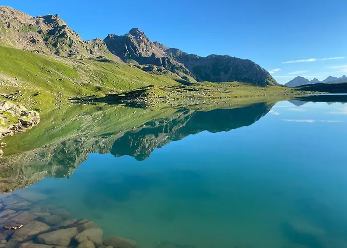 Shima-davos دافوس