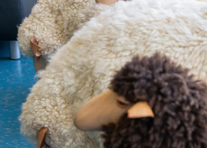 فندق مبيت وإفطار Shima-davos 3*