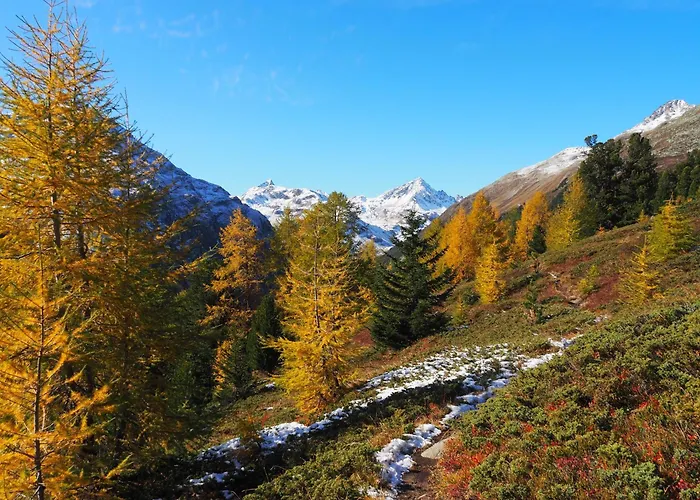 Shima-davos دافوس