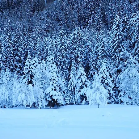 Shima-davos Couette-café 3*