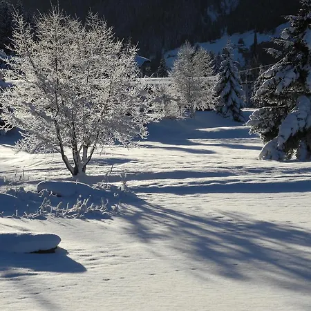 Couette-café Shima-davos Davos